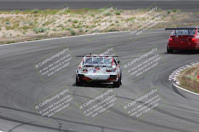 media/May-03-2025-Lucky Dog Racing (Sat) [[206de64b9d]]/Turn 4 B (1150am-130pm)/